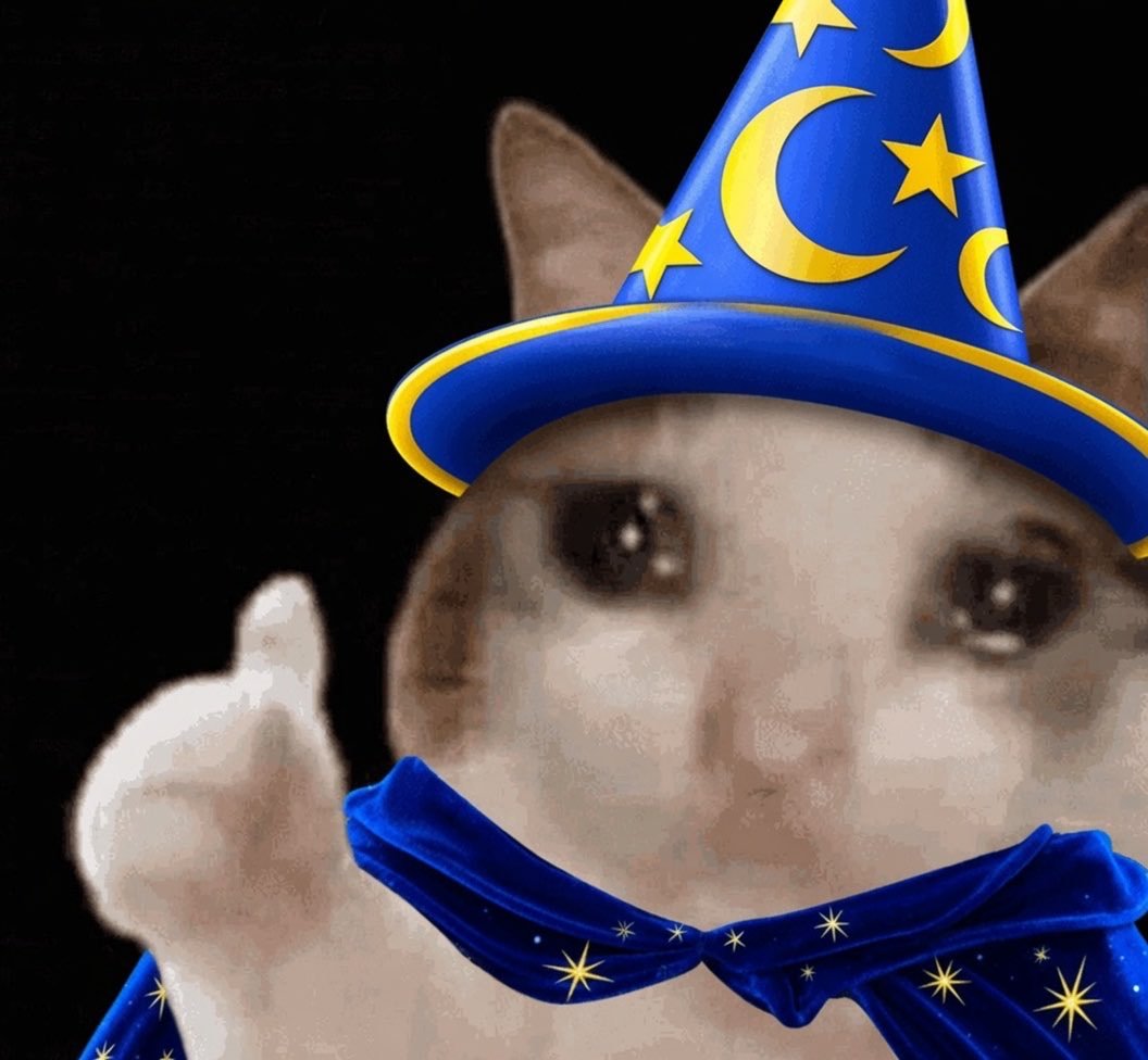 OK Cat meme wall image 06