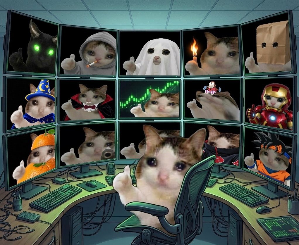 OK Cat meme wall image 08