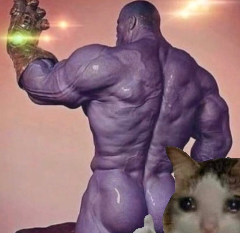OK Cat meme wall image 10