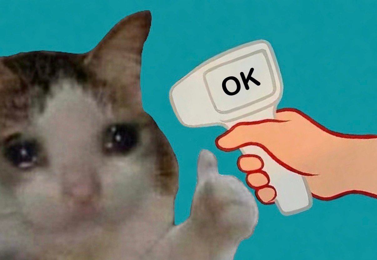 OK Cat meme wall image 01