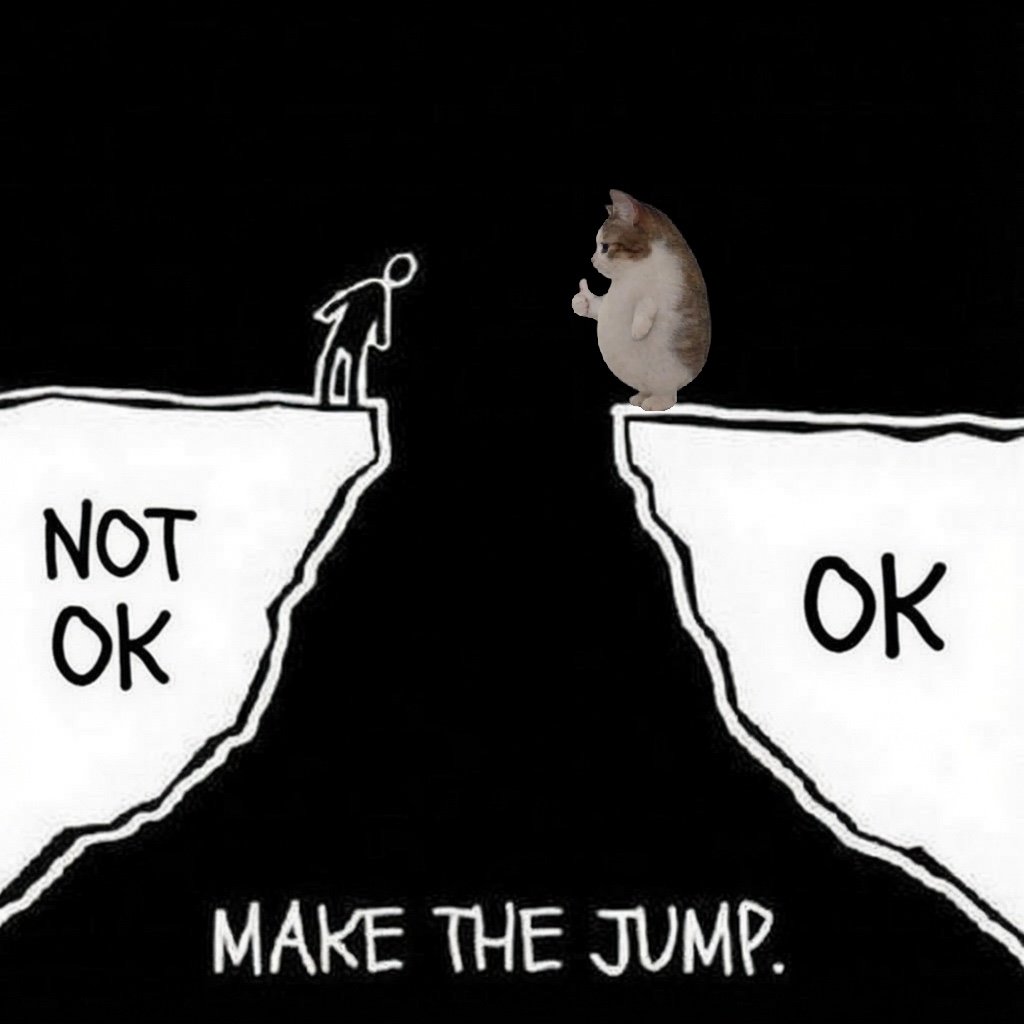 OK Cat meme wall image 02
